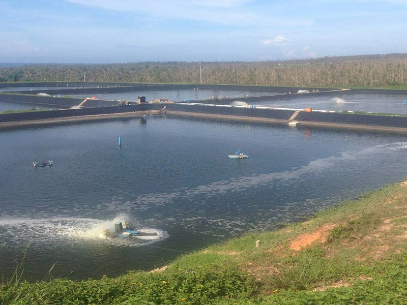 Geomembrane Pond Liner for fish farm applications