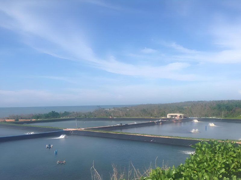 HDPE Geomembrane Fish Pond Liner Cost For Fish Farm