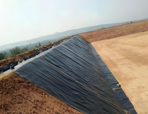 What Is Difference Between HDPE and LLDPE Geomembrane