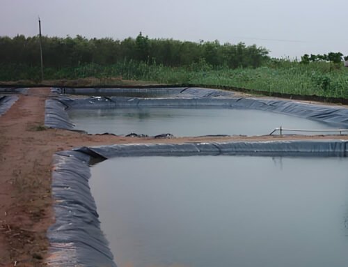 How Much Does Geomembrane Cost Per Square Foot