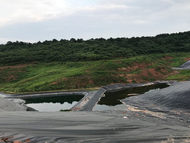 Ultimate Guide to Koi Fish Pond Liner