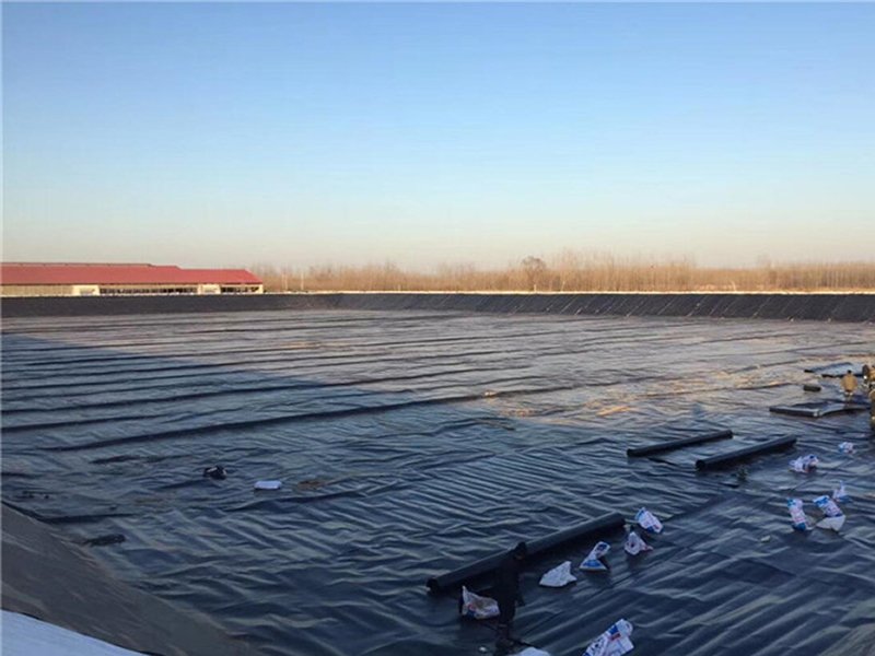 What Is Difference Between HDPE and LLDPE Geomembrane