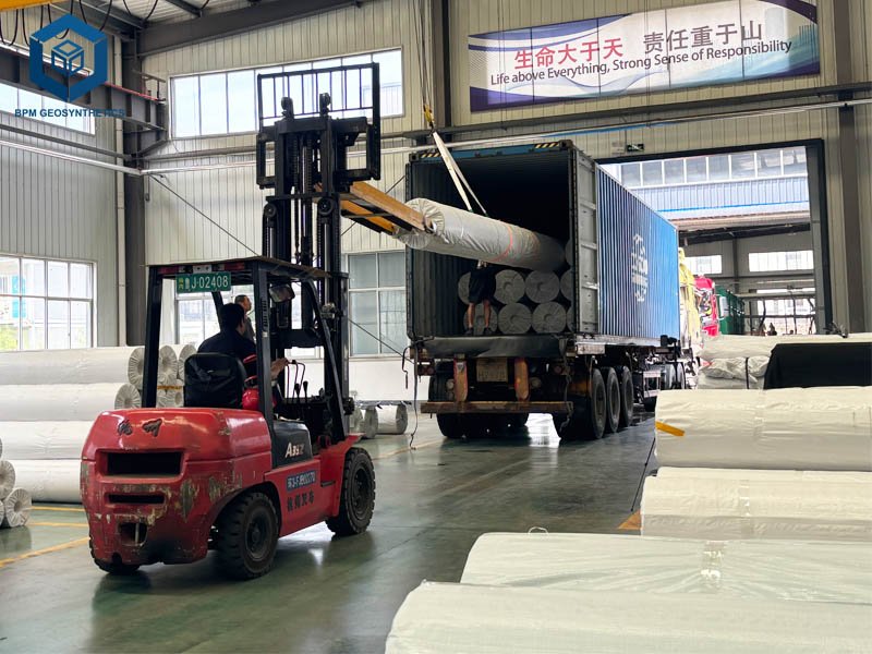 BPM Factory Price Geomembrane Preformed Pond Liner