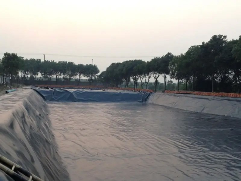 BPM Geomembrane Liner for Fish Pond