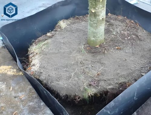 How Long Does Root Barrier Last