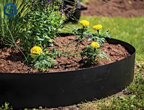 How Much Does a Root Barrier Cost