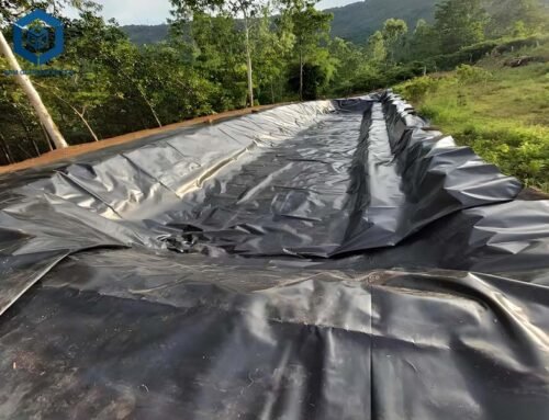 What Are Disadvantages of Pond Liner