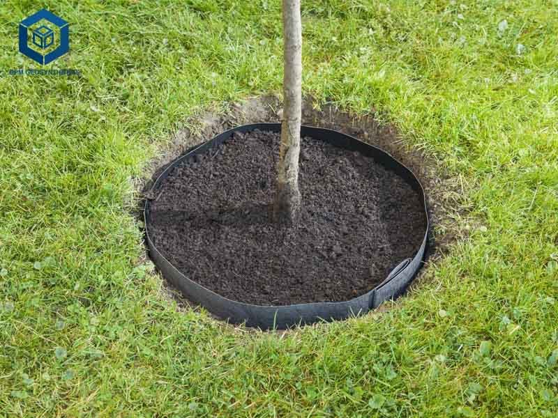 HDPE Root Barrier Cost Geomembrane for Tree Root Control