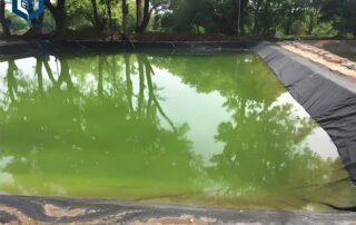 Liner Geomembrane HDPE 1 4 Acre Pond Liner Cost for Irrigation Reservoirs