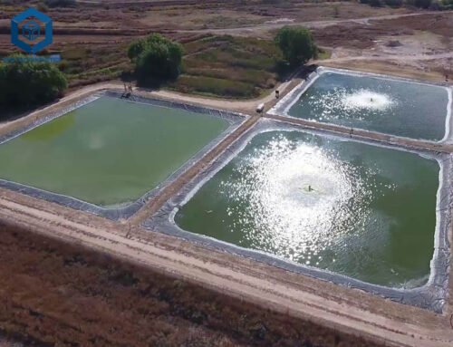 How Much Is 500 Micron LDPE Sheet Price